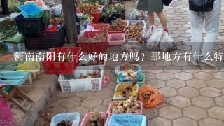 河南南阳有什么好的地方吗？那地方有什么特色的东西吗？