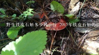 野生铁皮石斛多少钱一斤 2015年铁皮石斛的价格如何