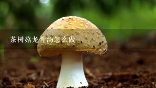 茶树菇龙骨汤怎么做