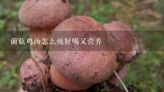 菌菇鸡汤怎么炖好喝又营养