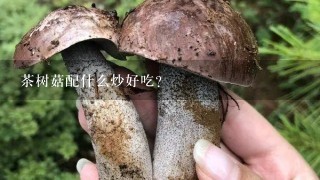 茶树菇配什么炒好吃？