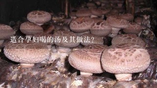 适合孕妇喝的汤及其做法？