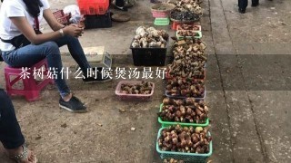 茶树菇什么时候煲汤最好