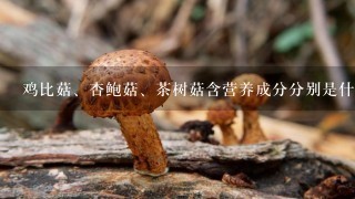 鸡比菇、杏鲍菇、茶树菇含营养成分分别是什么？油炸炸干后会不会破坏其营养？油炸后有苦味是怎么回事？