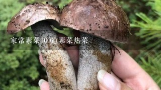 家常素菜100道素菜热菜