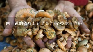 网上说的铁皮石斛是真的吗?技术可靠吗