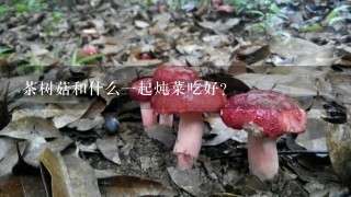 茶树菇和什么一起炖菜吃好？