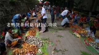 老鸭煲茶树菇有什么功效