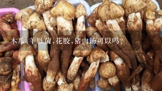 木瓜,羊肚菌,花胶,猪肉汤可以吗？