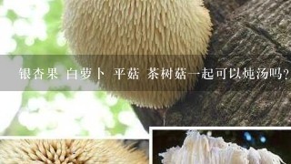 银杏果 白萝卜 平菇 茶树菇一起可以炖汤吗？