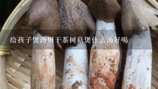 给孩子煲汤用干茶树菇煲什么汤好喝