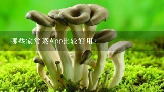 哪些家常菜App比较好用？