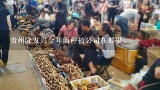 贵州隆发兴金耳菌种植公司在那里