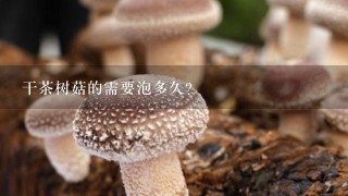 干茶树菇的需要泡多久？