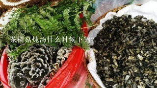 茶树菇炖汤什么时候下锅？