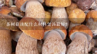 茶树菇该配什么材料煲汤最好？