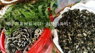 椰子跟茶树菇可以一起煲鸡汤吗？