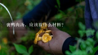 褒鸭肉汤，应该放什么材料？