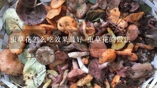 虫草花怎么吃效果最好 虫草花的做法