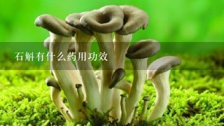 石斛有什么药用功效