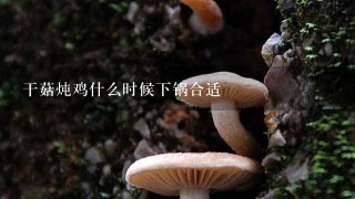 干菇炖鸡什么时候下锅合适