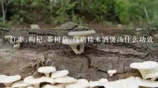 红枣,枸杞,茶树菇,乌鸡糯米酒煲汤什么功效