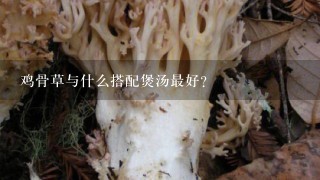 鸡骨草与什么搭配煲汤最好？