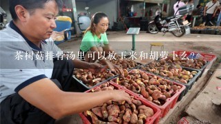 茶树菇排骨汤里可以放玉米和胡萝卜么？