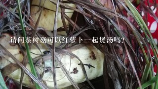 请问茶树菇可以红萝卜一起煲汤吗？