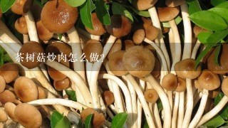 茶树菇炒肉怎么做？