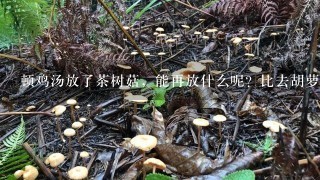 顿鸡汤放了茶树菇，能再放什么呢？比去胡萝卜可以吗？