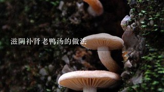 滋阴补肾老鸭汤的做法