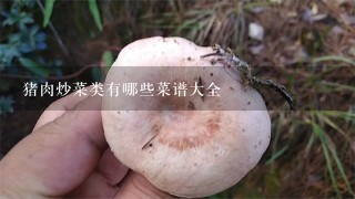 猪肉炒菜类有哪些菜谱大全