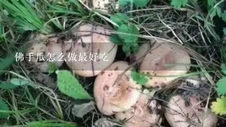 佛手瓜怎么做最好吃