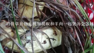 鸡骨草五指毛桃加胡椒和羊肉一起煲汤会怎样？