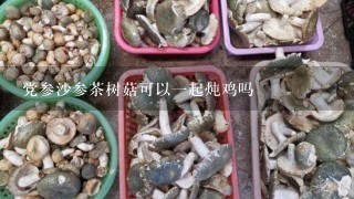 党参沙参茶树菇可以一起炖鸡吗