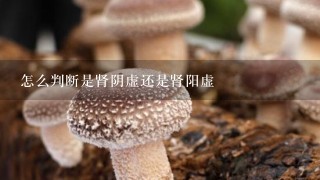 怎么判断是肾阴虚还是肾阳虚