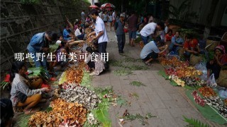 哪些野生菌类可食用