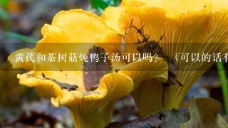 黄芪和茶树菇炖鸭子汤可以吗？ （可以的话有什么作用？）