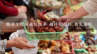 跪求羊肚菌栽培技术 越详细越好 我先谢啦