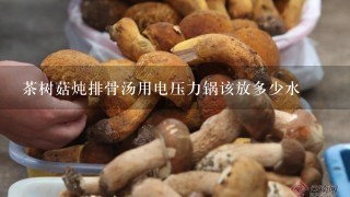 茶树菇炖排骨汤用电压力锅该放多少水