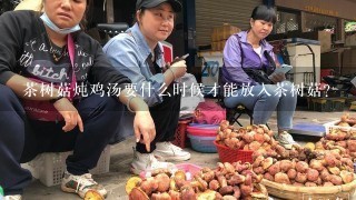 茶树菇炖鸡汤要什么时候才能放入茶树菇？