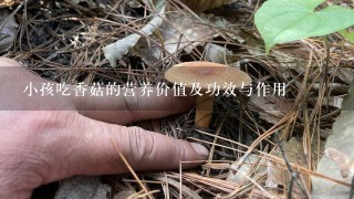 小孩吃香菇的营养价值及功效与作用