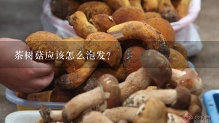 茶树菇应该怎么泡发？