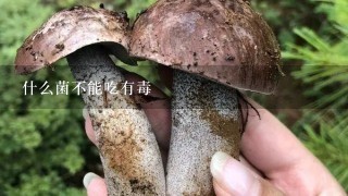 什么菌不能吃有毒