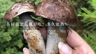 茶树菇怎么做好吃？多久能熟？