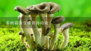 茶树菇黄豆排骨汤功效