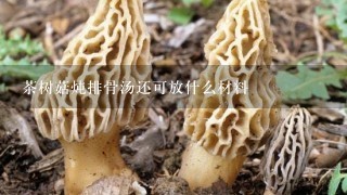 茶树菇炖排骨汤还可放什么材料