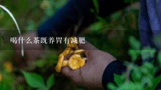 喝什么茶既养胃有减肥