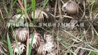 茶树菇炖排骨，茶树菇什么时候放入锅